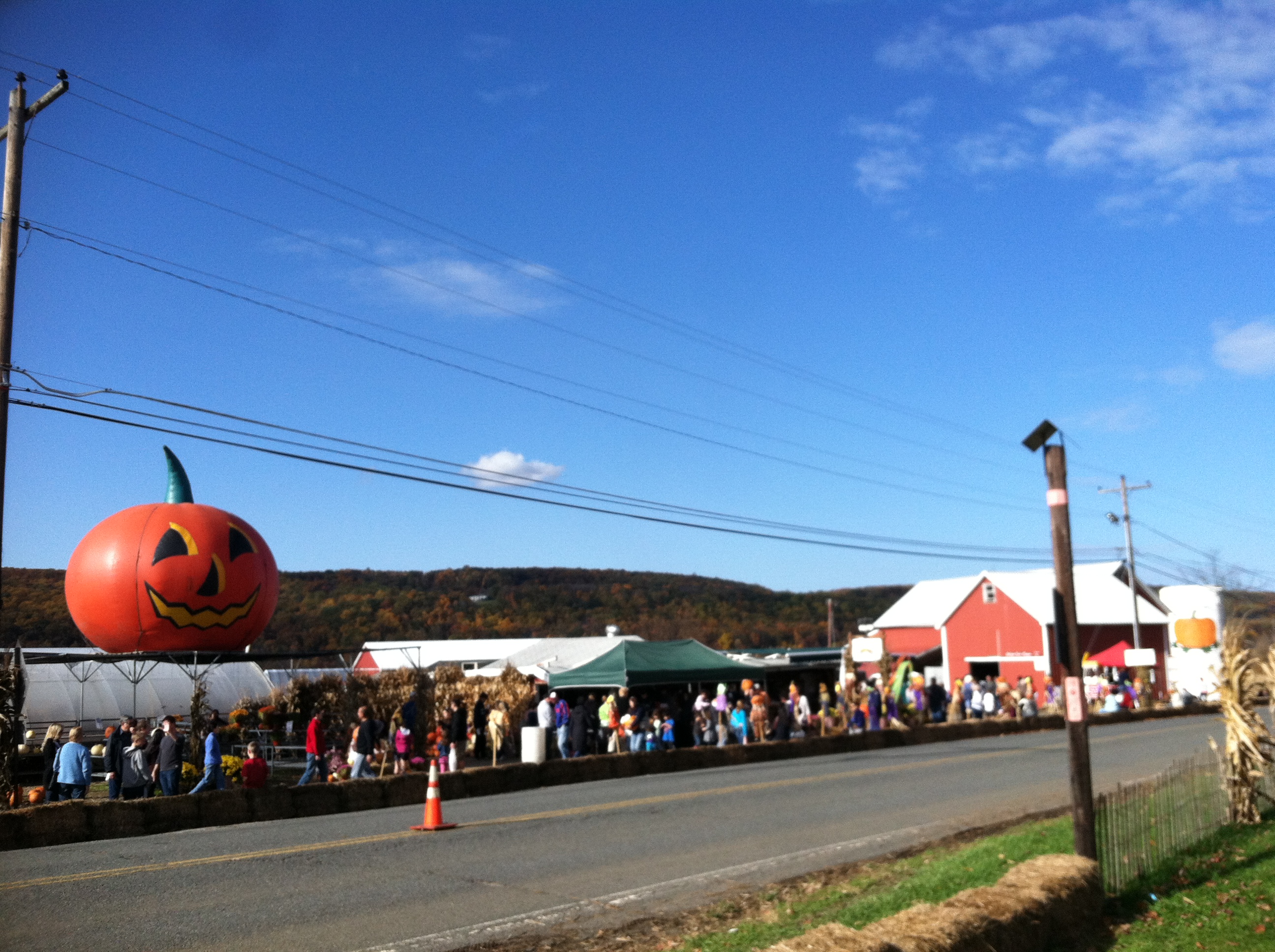 Ort Farms Visit Nj Farms